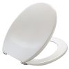 Pressalit Objecta 54011-BA1999 toilet seat with cover white polygiene