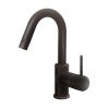 Pure Duero DU5402-ZW basin faucet matte black