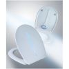 Diaqua Sidney LED 31176341 toiletzitting met deksel wit