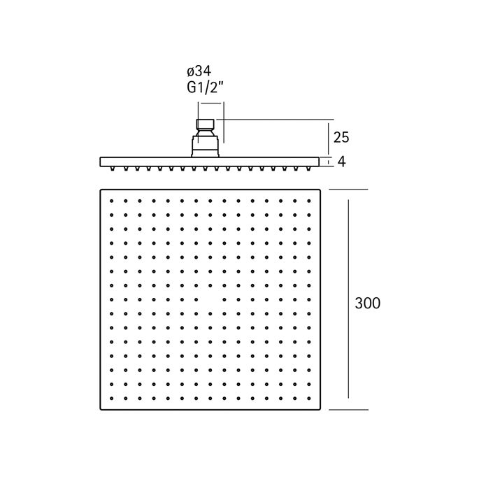 Pure stainless steel 316 Series RV6450 head shower 30x30cm stainless steel brushed